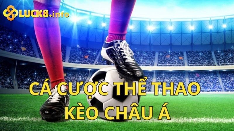 Cá Cược Thể Thao Kèo Châu Á Hấp Dẫn, Dễ Ăn Nhất  