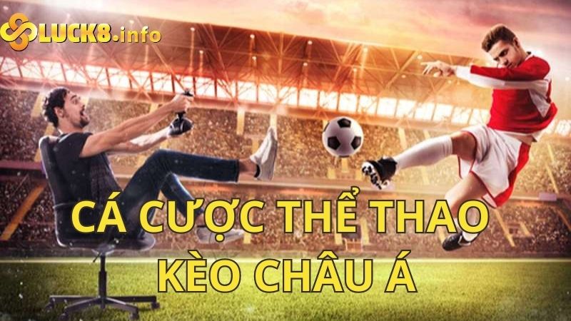 Cá cược thể thao kèo châu Á Luck8 - Ăn lớn thắng lớn