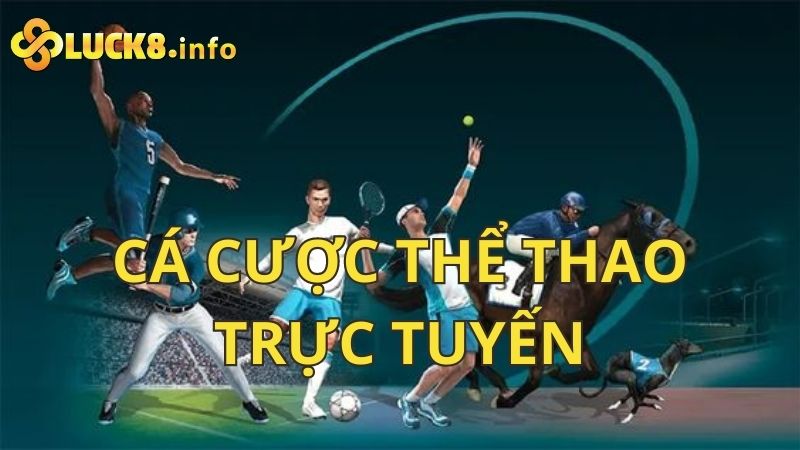 Cá cược thể thao trực tuyến đỉnh cao siêu Vip tại Luck8