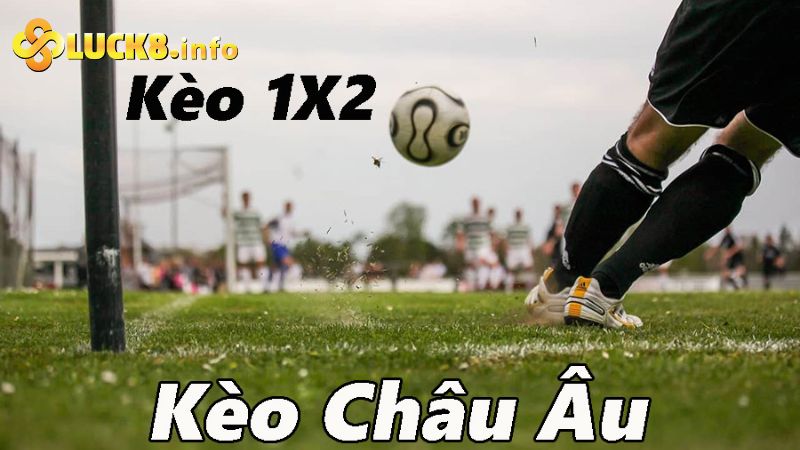 Cách đọc bảng kèo chi tiết cho kèo Châu Á