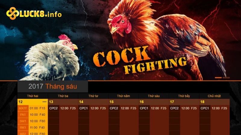 Chơi đá gà Luck8 chỉ với ba bước đơn giản