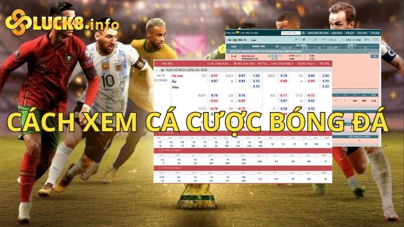 Hướng dẫn cách xem cá cược bóng đá Luck8 chuẩn xác