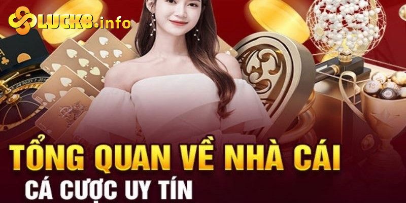 Tổng hợp các cách thức liên hệ trực tiếp đến nhà cái Luck8 1 so luoc ve luck8